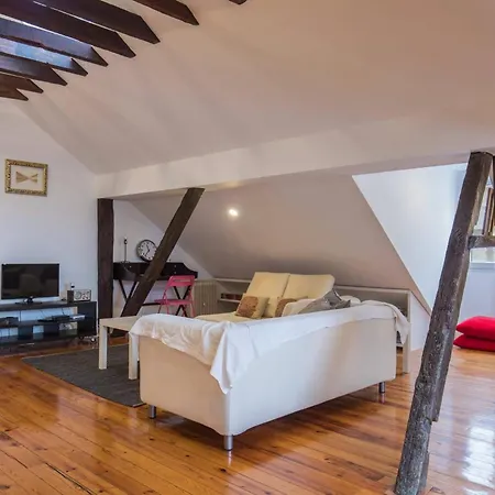 Apartment Santa Catarina's Place *